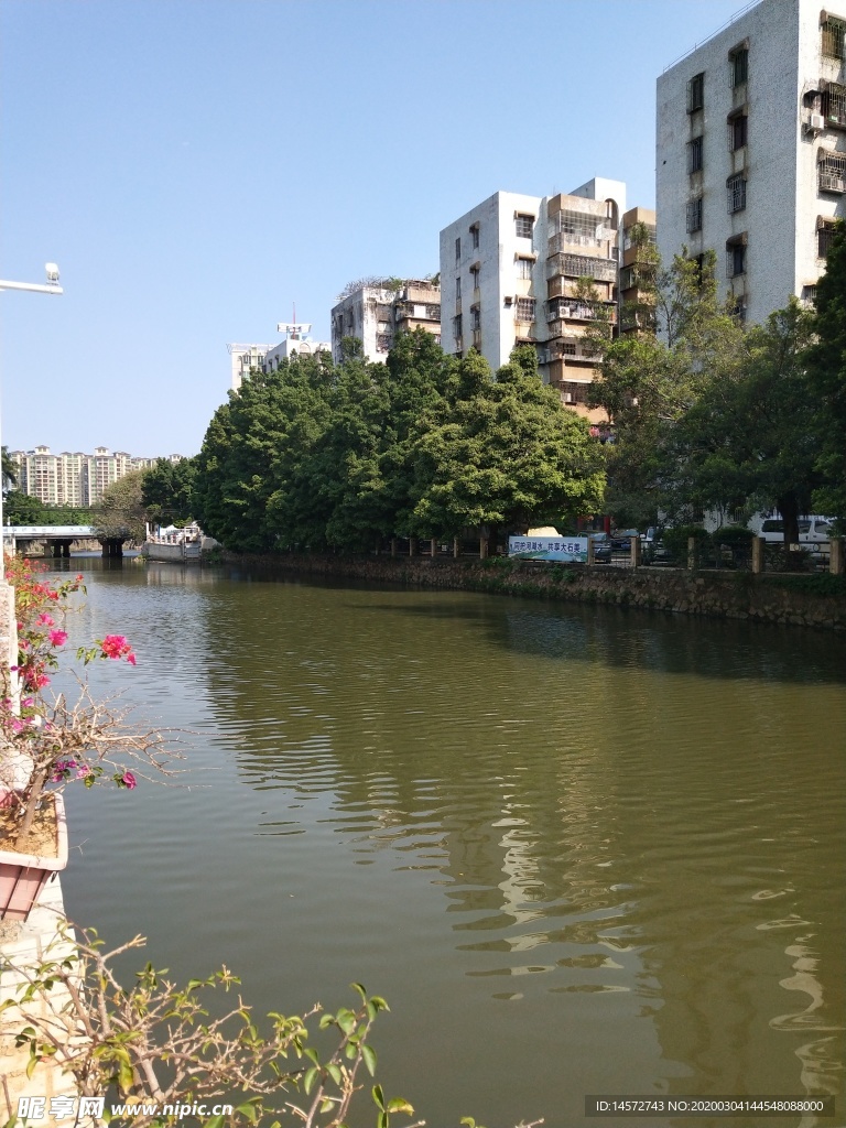 大石街河涌风景