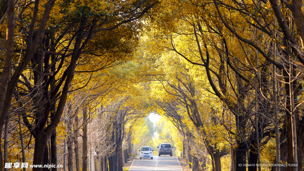 秋天公路风景