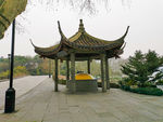 苏小小