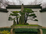 假山景观