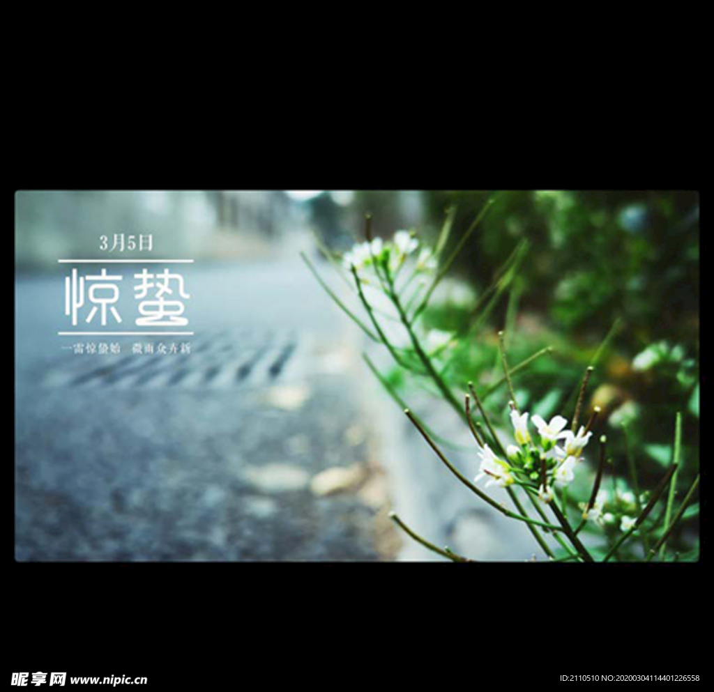 惊蛰