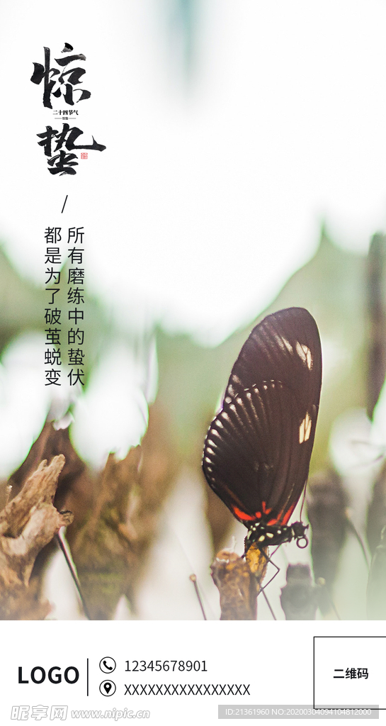 惊蛰