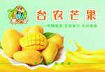 不干胶标签