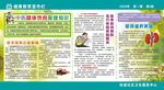 健康教育宣传栏