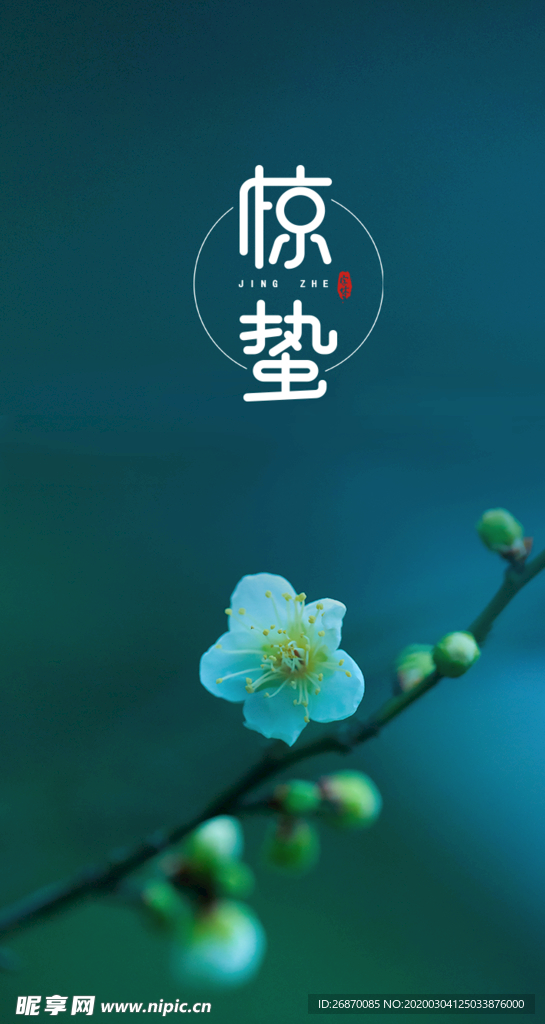 惊蛰