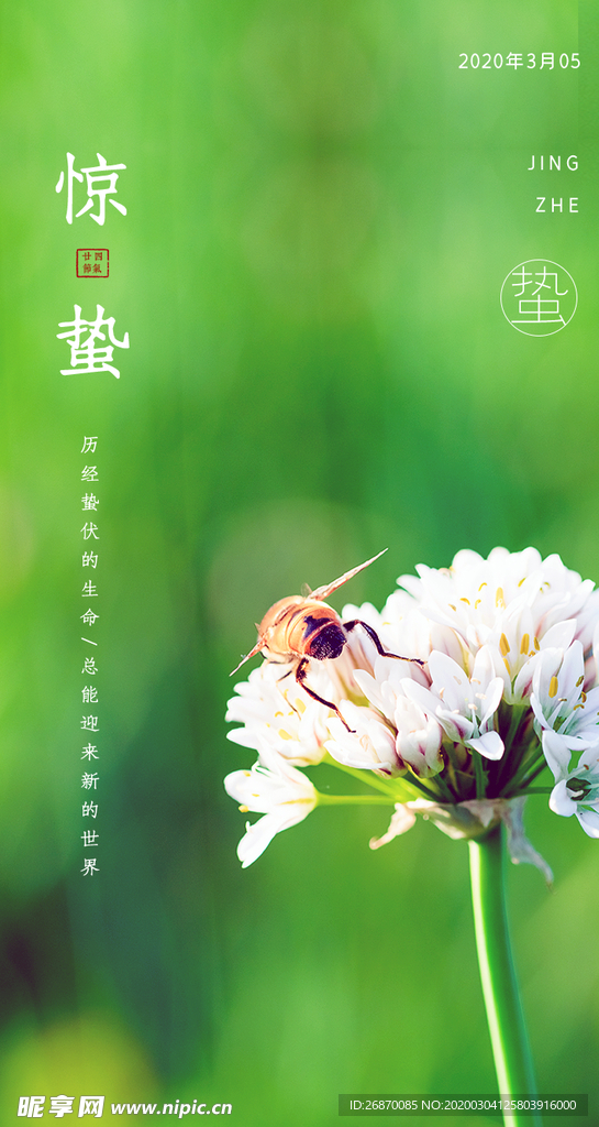 惊蛰