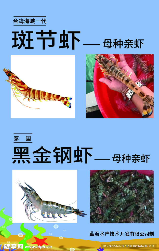 虾