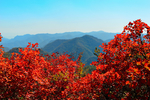风景
