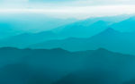 风景