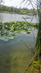 湖水风光