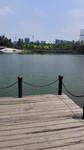 湖水景色