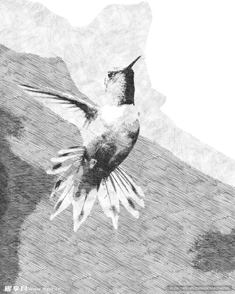 鸟