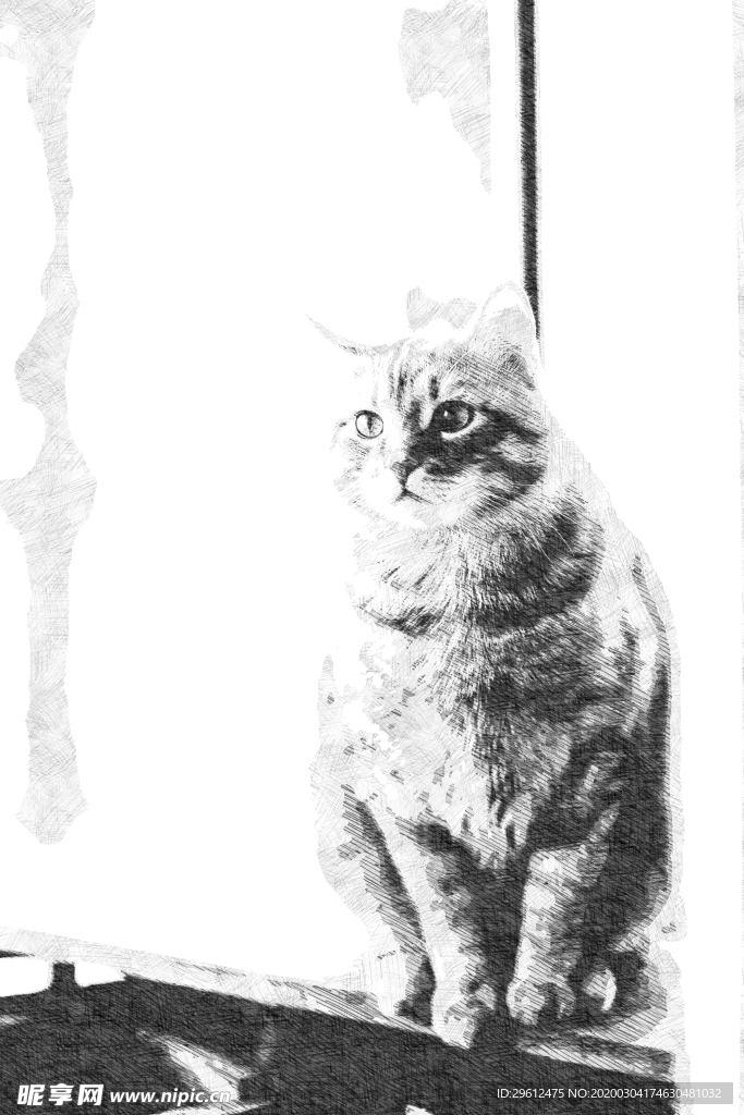 猫