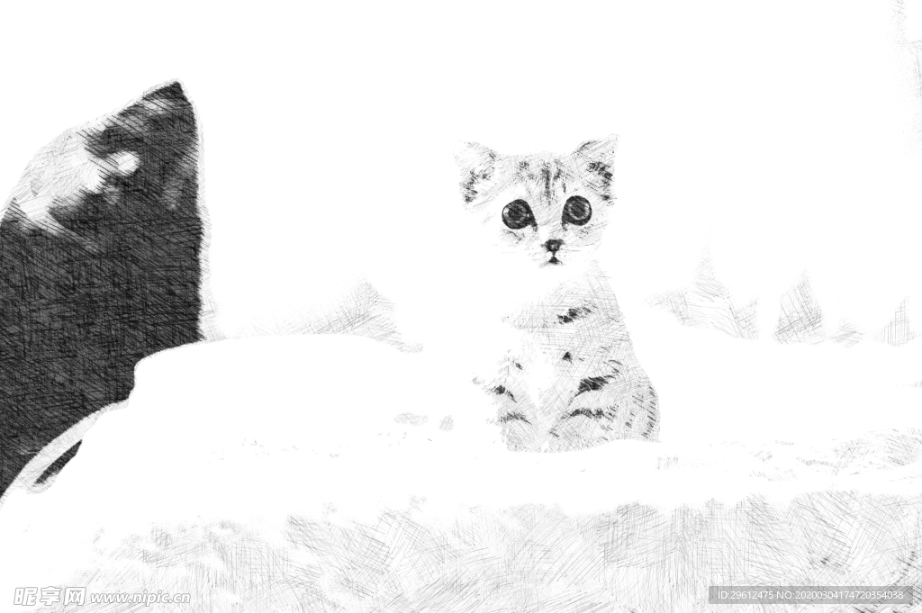 猫