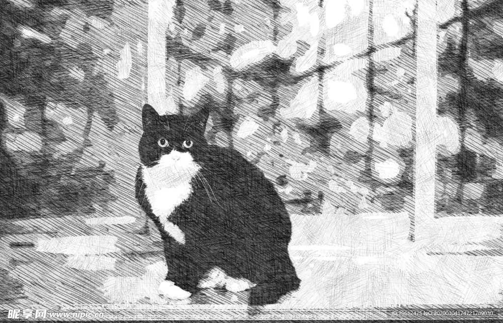 猫