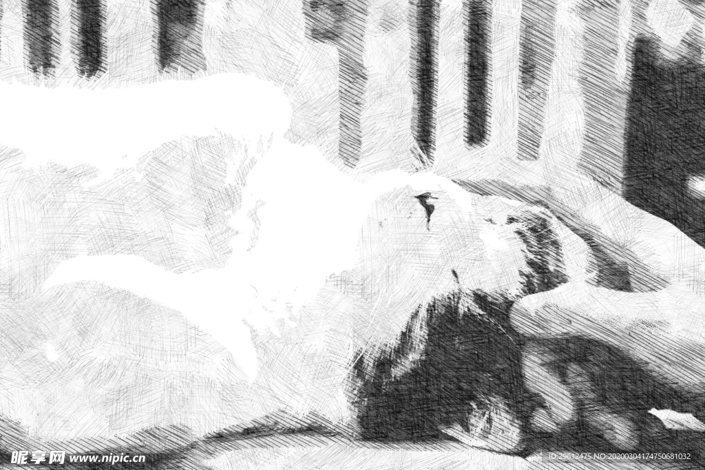 猫