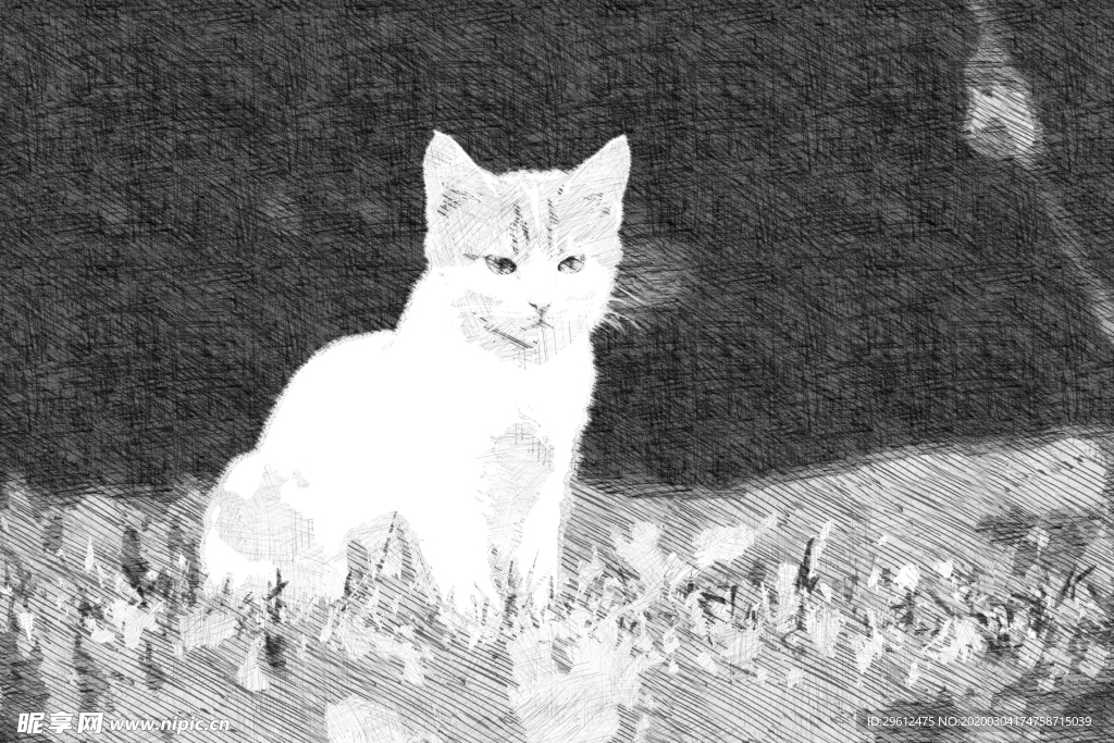 猫