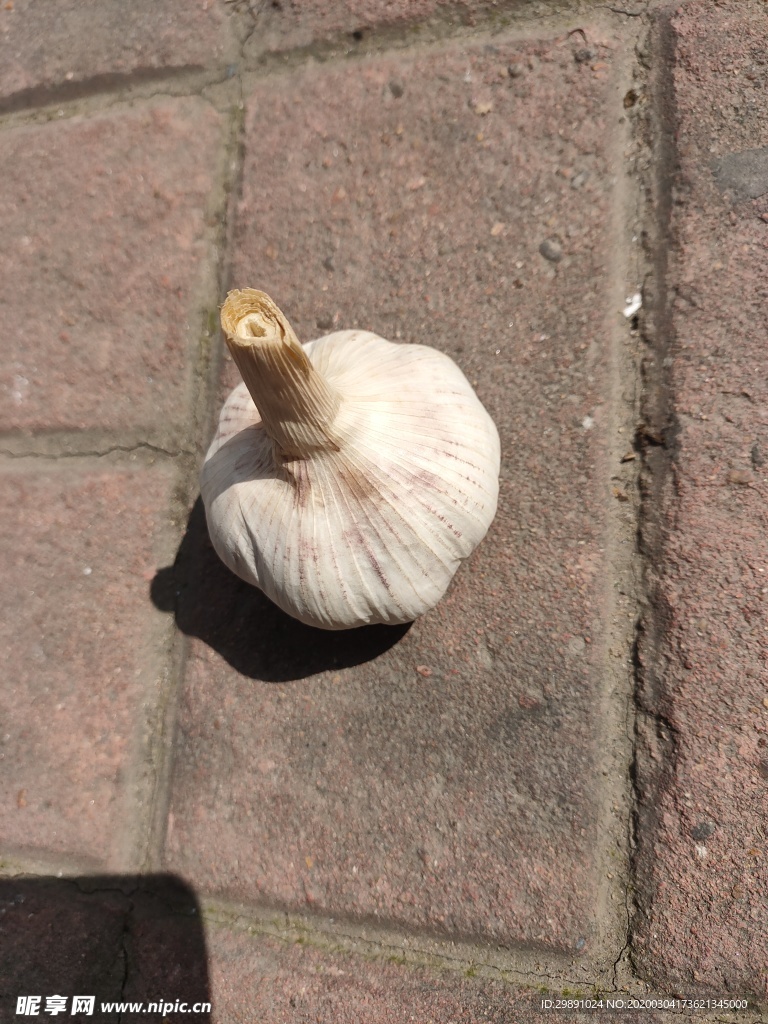 大蒜