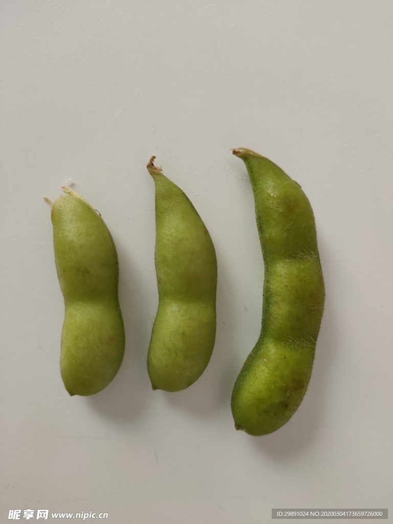 毛豆