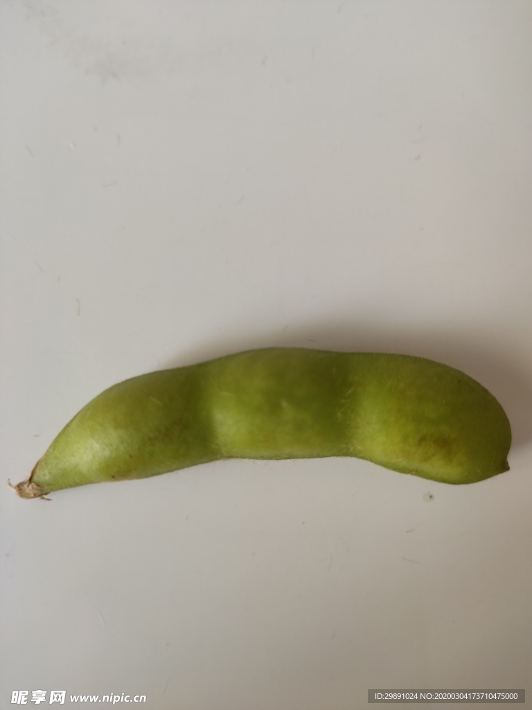 毛豆
