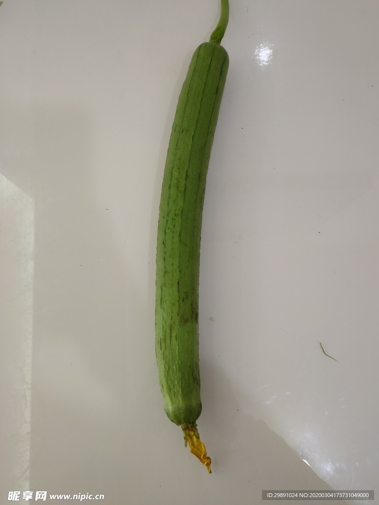 丝瓜