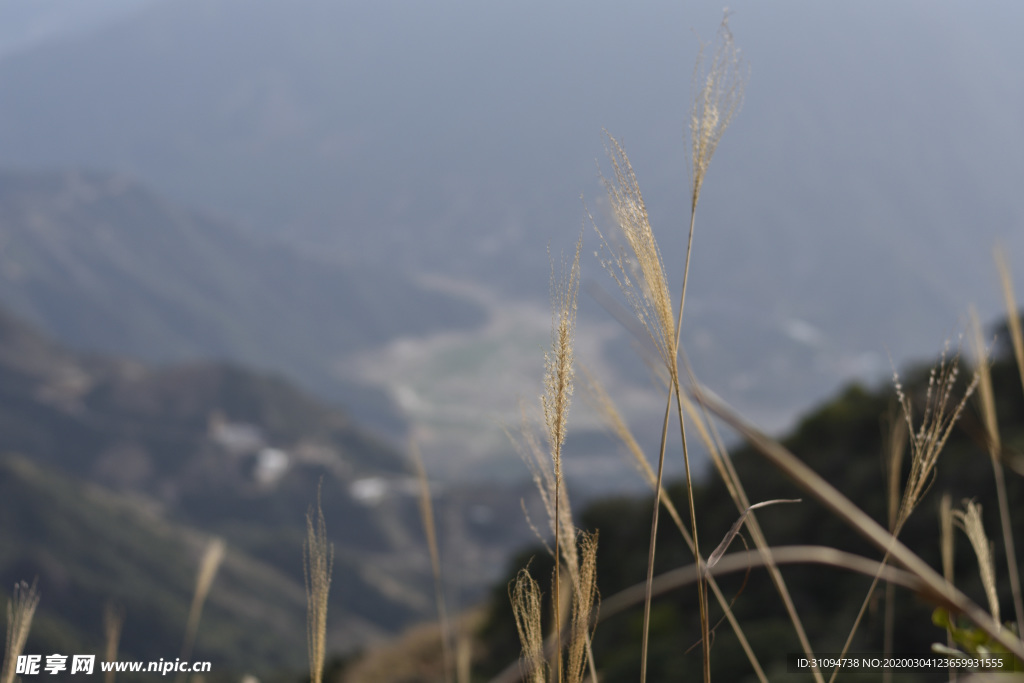 高山俯瞰