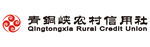 青铜峡农村信用社