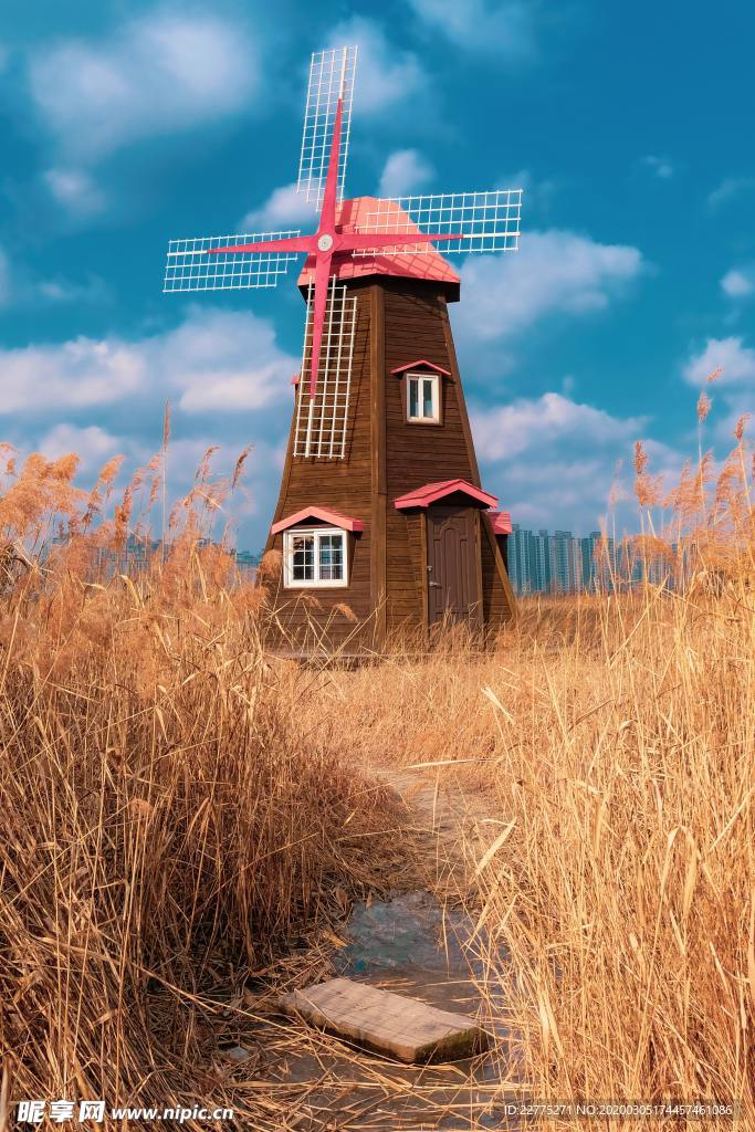 荷兰的小风车
