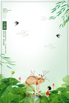 荷叶 荷花