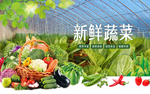 大棚蔬菜