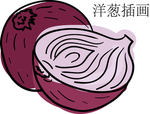 洋葱手绘插画