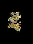 龙