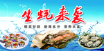 生蚝来袭