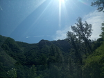阳光树影风景