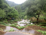梯田风景