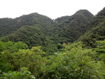 风景  大山绿树  过山车