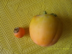 大小柿子特写