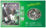 菌7菇类标签