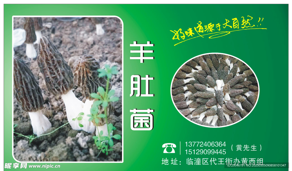 菌7菇类标签