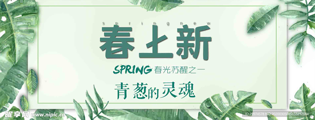 春季上新banner