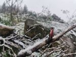 2020年的初雪