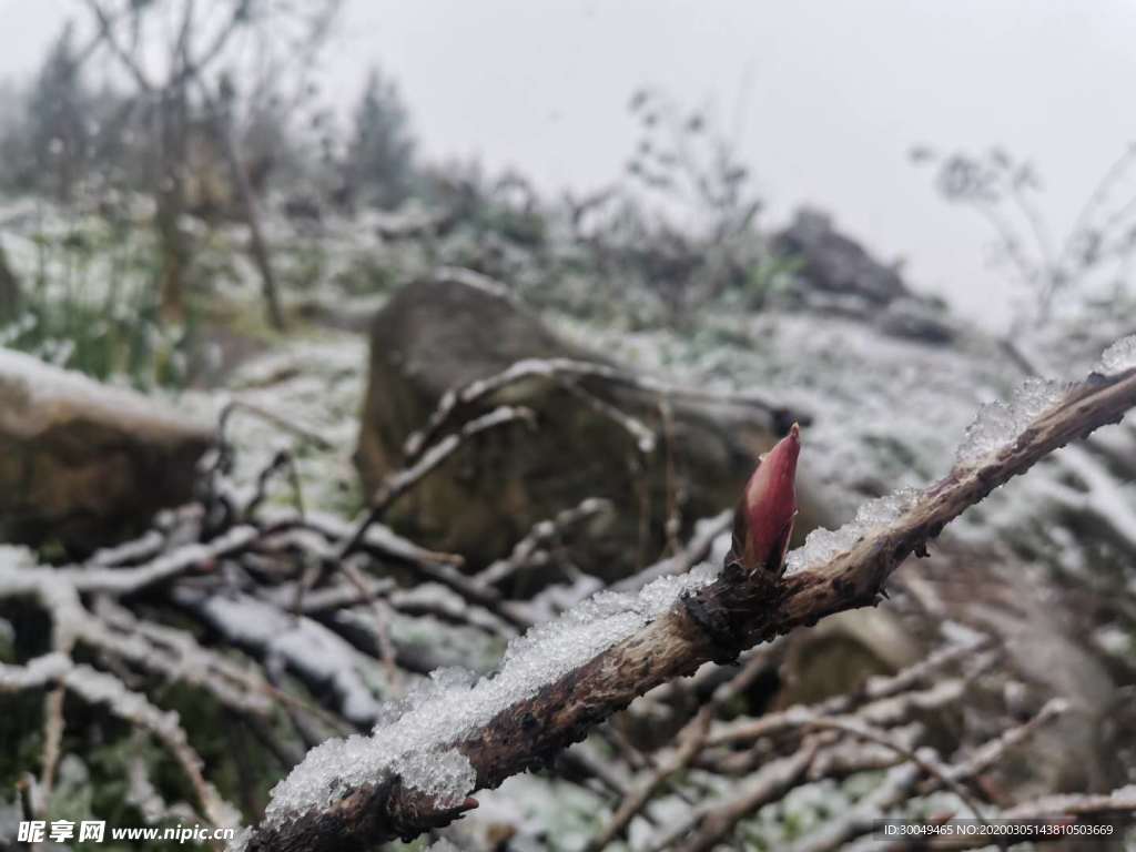 2020年的初雪