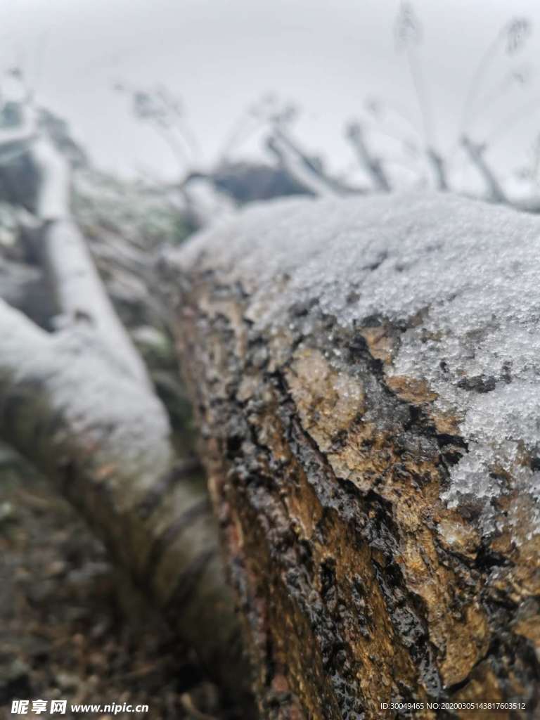 2020年的初雪