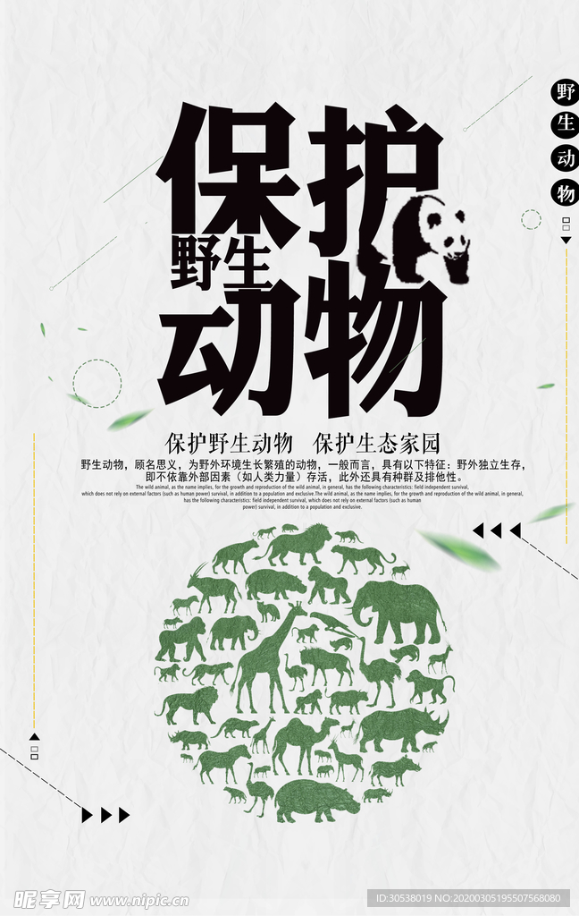 保护动物