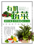有机蔬菜