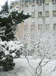 浪漫校园雪景