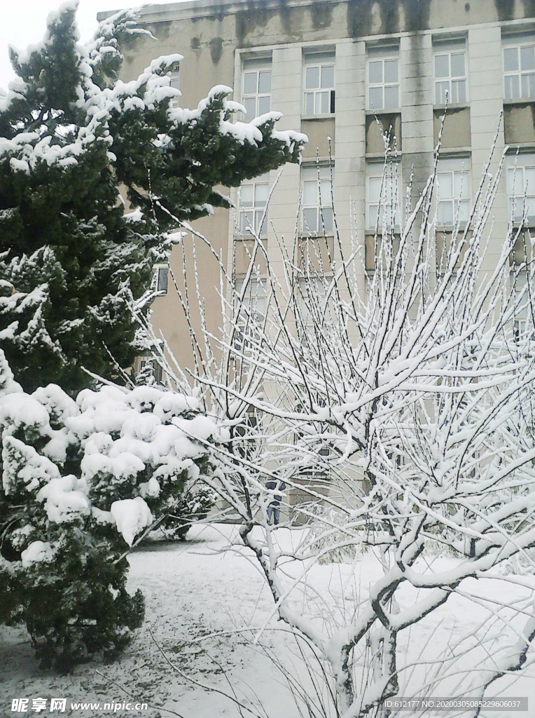 浪漫校园雪景