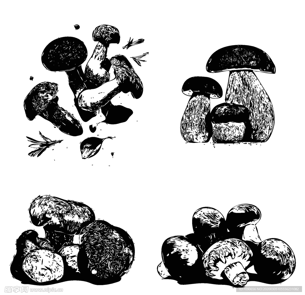 素描菌菇