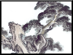 古树