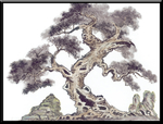 古树